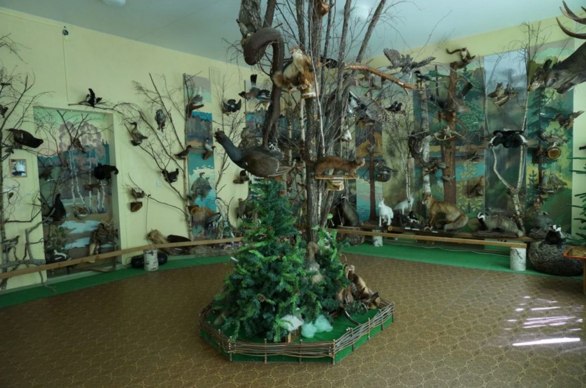 Выставка: Жители наших лесов