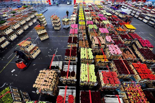 Аукцион цветов