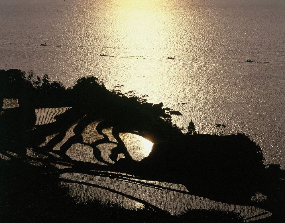 Рисовые террасы Нии