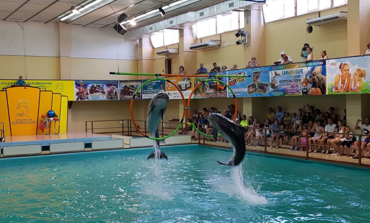 Геленджикский дельфинарий