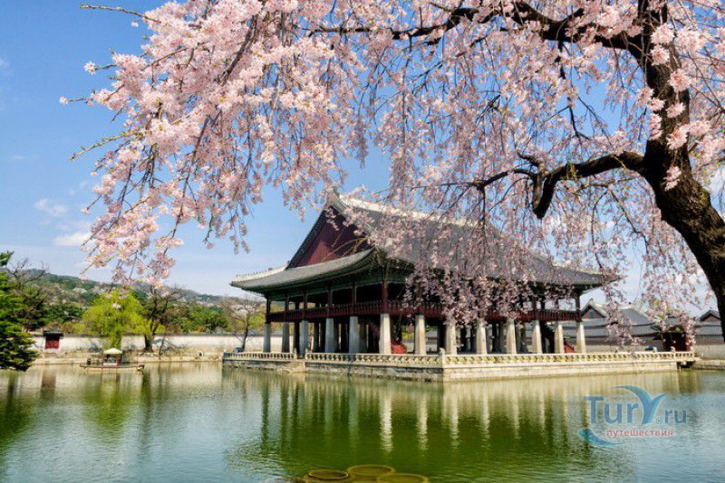 Дворец Кёнбоккун (Дворец Кёнбок)