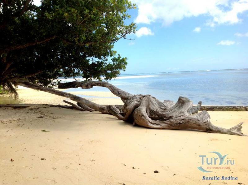 Пляж Анс-о-Пен и бухта Тартл