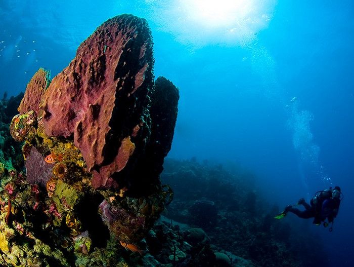 Дэнглебенc Пинаклс и Скала Пять Пальцев (Dangleben’s Pinnacles and Five Finger Rock)