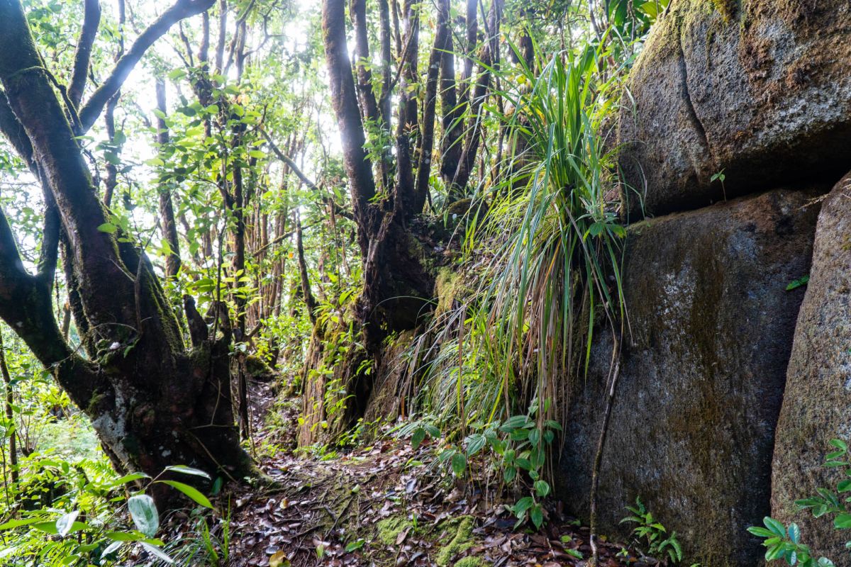 Национальный парк Морн Сейшелуа