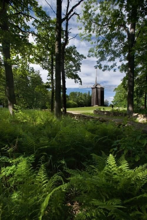 Эстонский музей под открытым небом