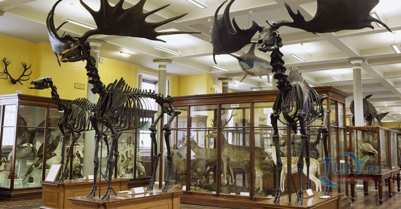 Музей Истории Естествознания