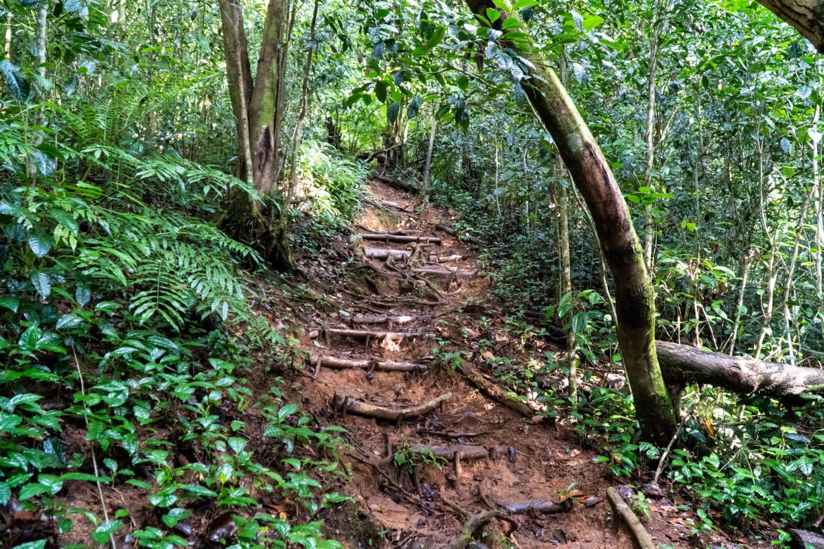 Морн Блан Трейл