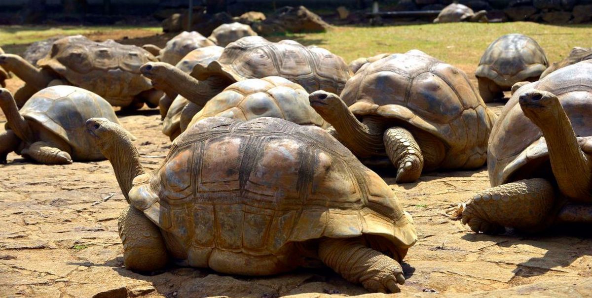 Заповедник Ля Ваниль