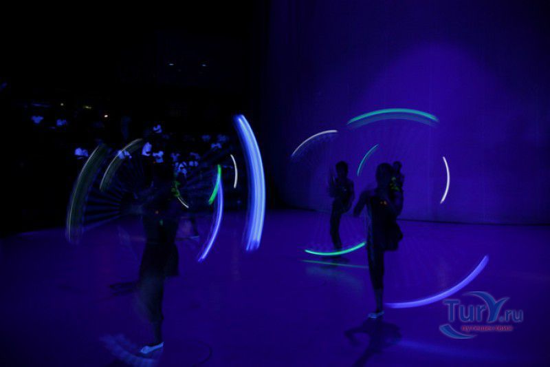 Всемирный Шанхайский Цирк