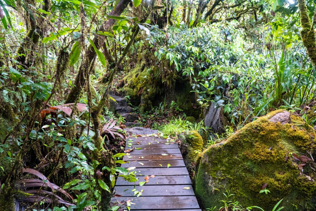 Национальный парк Морн Сейшелуа