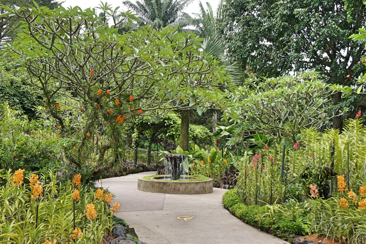 Сингапурский ботанический сад