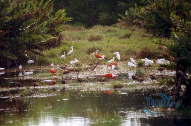 Великая Лагуна Икакос (Grand Icacos Lagoon)