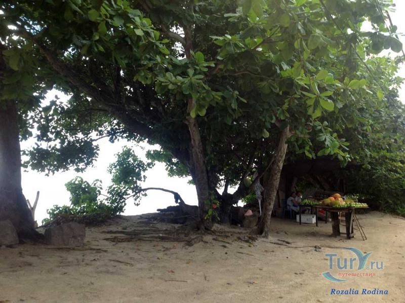 Пляж Анс-о-Пен и бухта Тартл