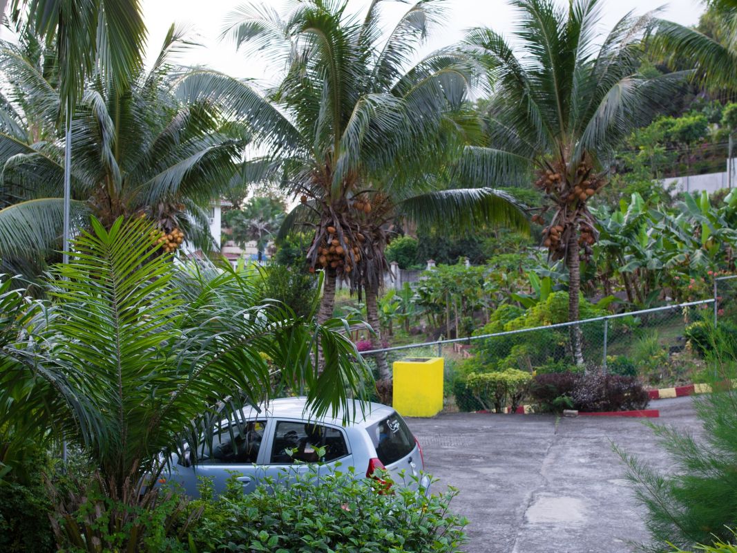 Evergreen Apartments