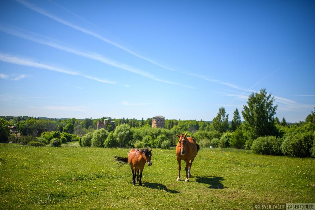 Развалины епископского замка Вастселийна