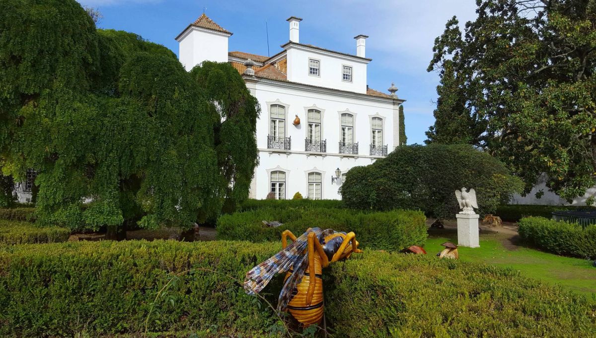 Дворец Пимента