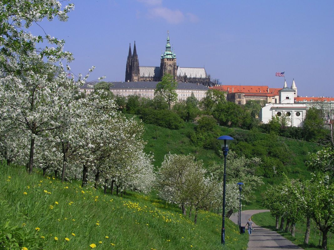 Сады на Петршине