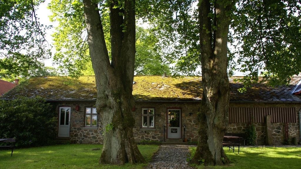 Музей Силькеборга, Блихерегнен