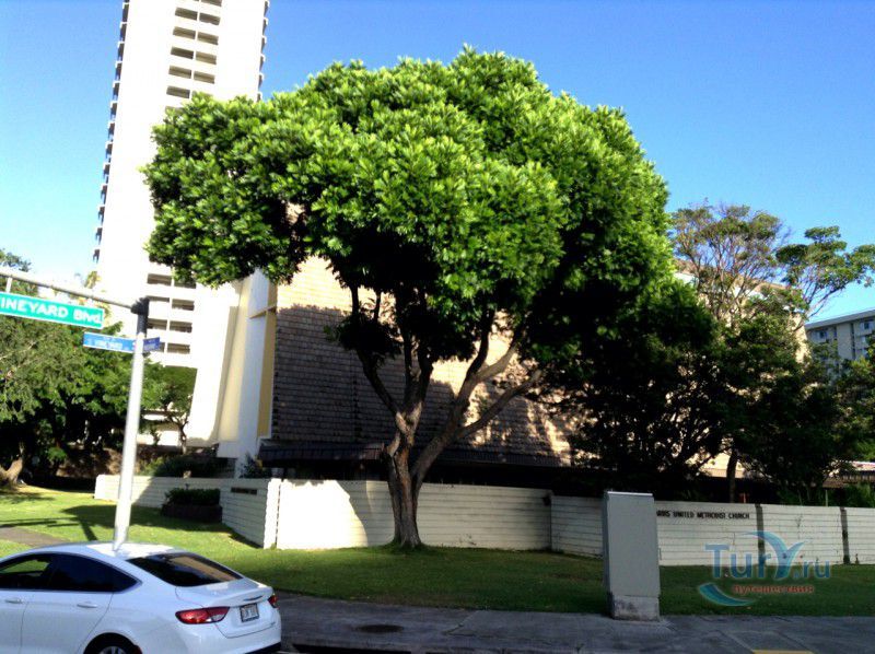 Церковь Harris United Methodist Church