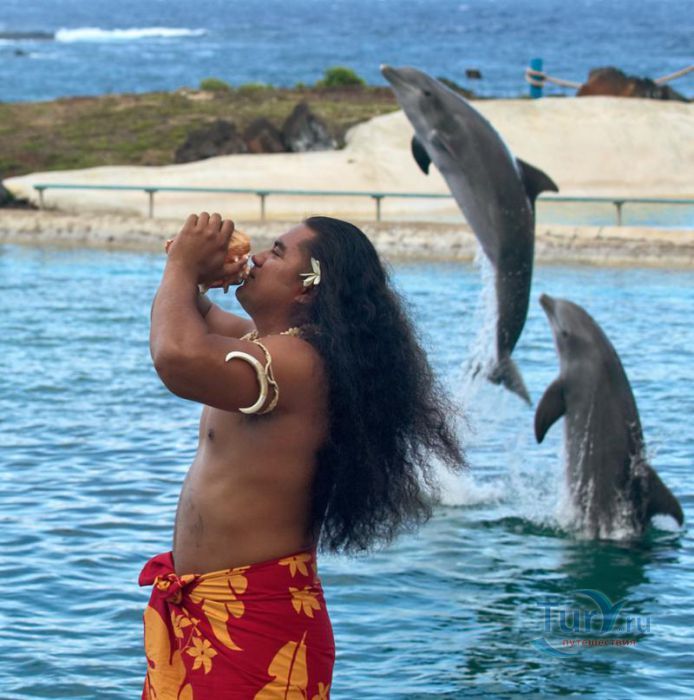 Парк Морской жизни Sea Life Park на о.Оаху