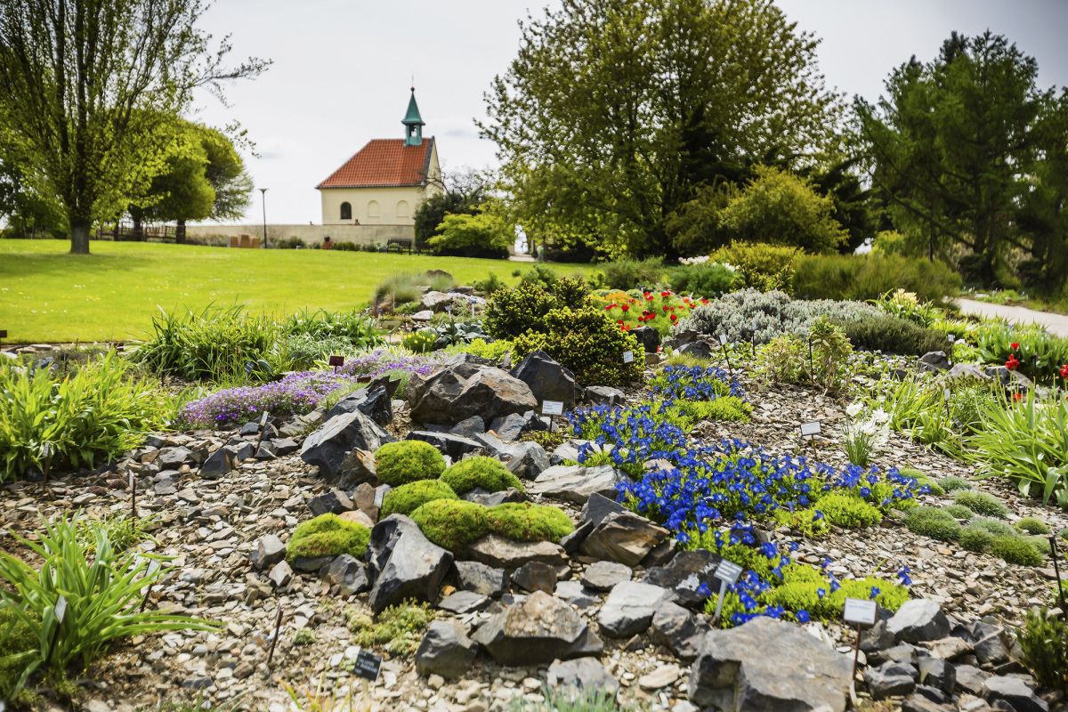 Пражский ботанический сад и оранжерея Fata Morgana