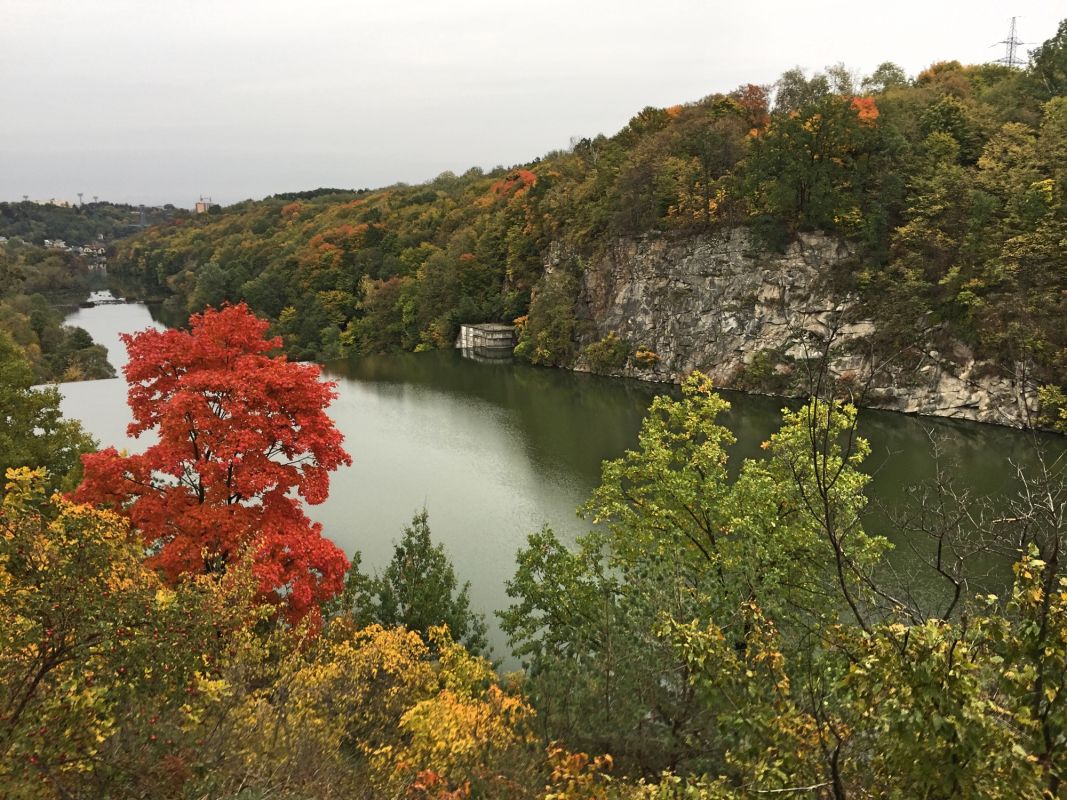 Река Тетерев