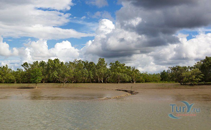 Национальный Парк Сундарбан