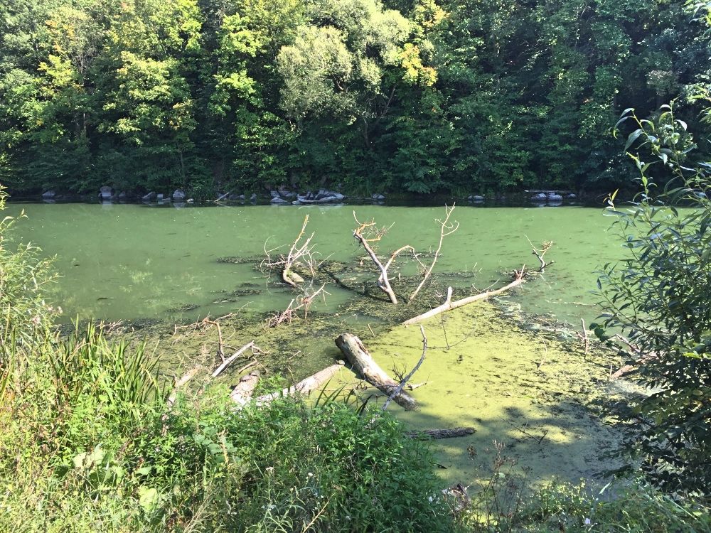 Река Тетерев