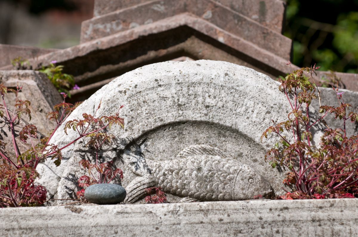 Старое еврейское кладбище на Жижкове