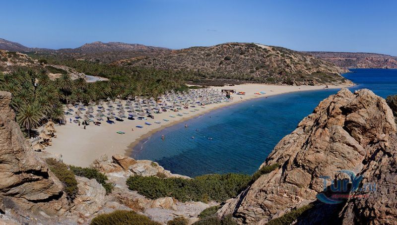 Пальмовый пляж Вай