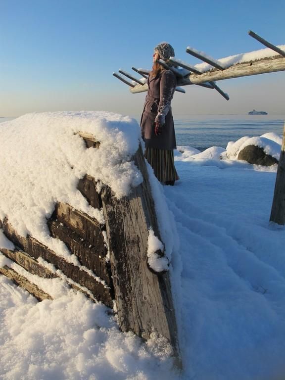 Mузей под открытым небом в Виймси