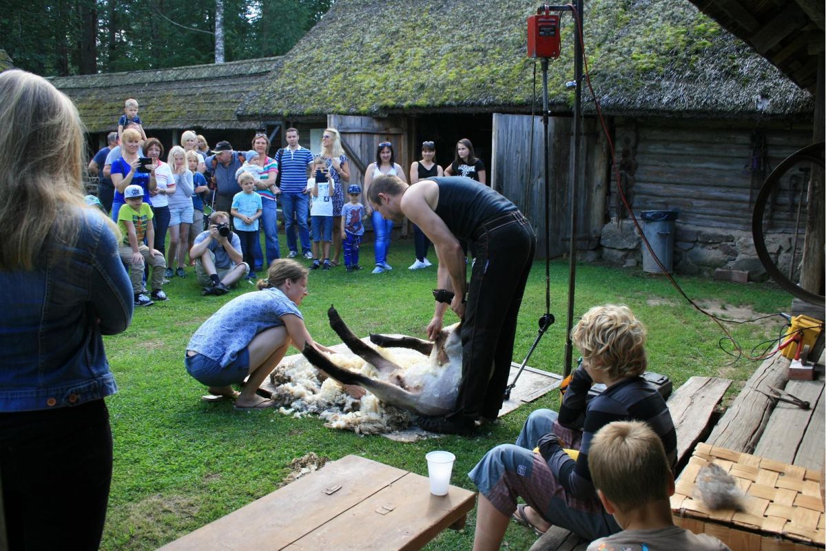 Вярска хутор-музей