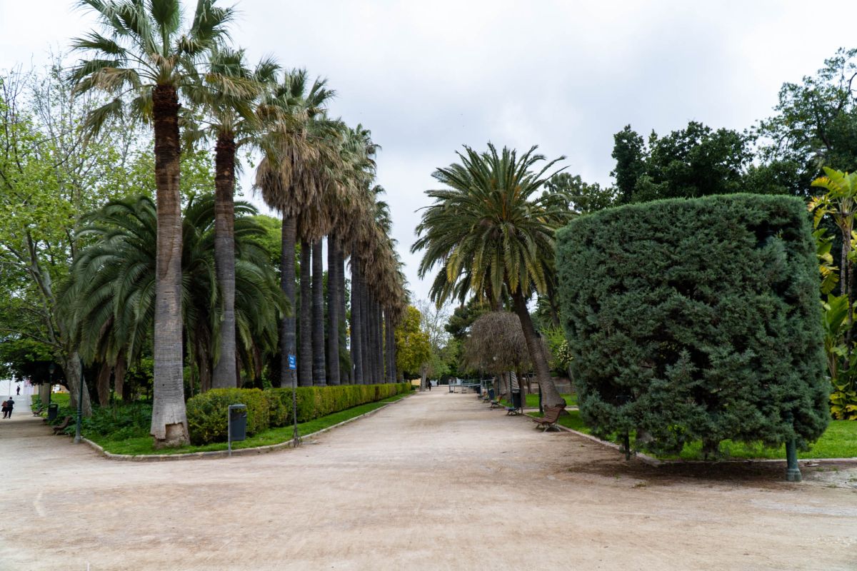 Сады дель Реал / Виверс