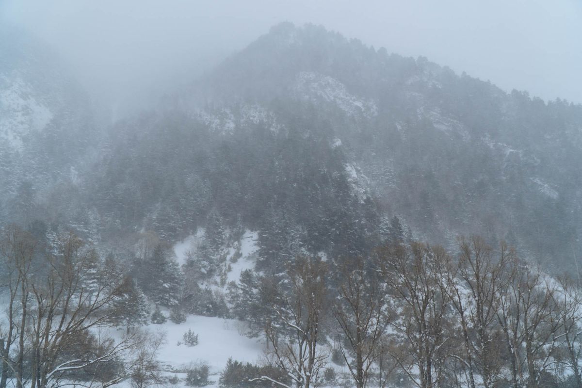 Ла-Кортинада