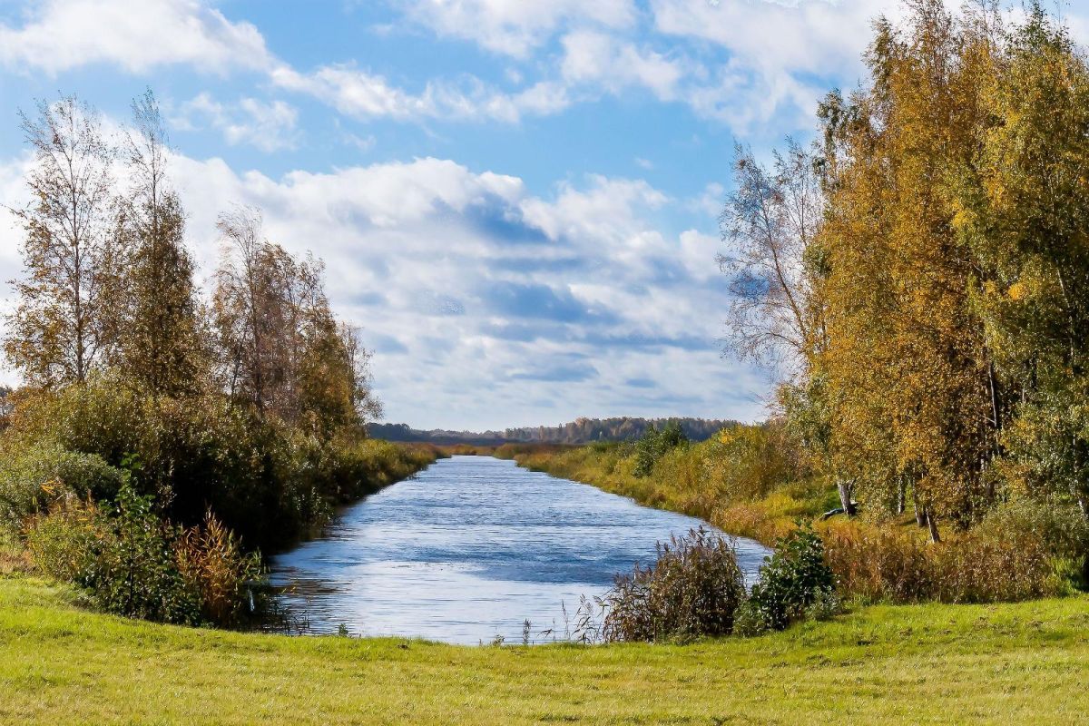 Заповедник Ряпинаского польдера