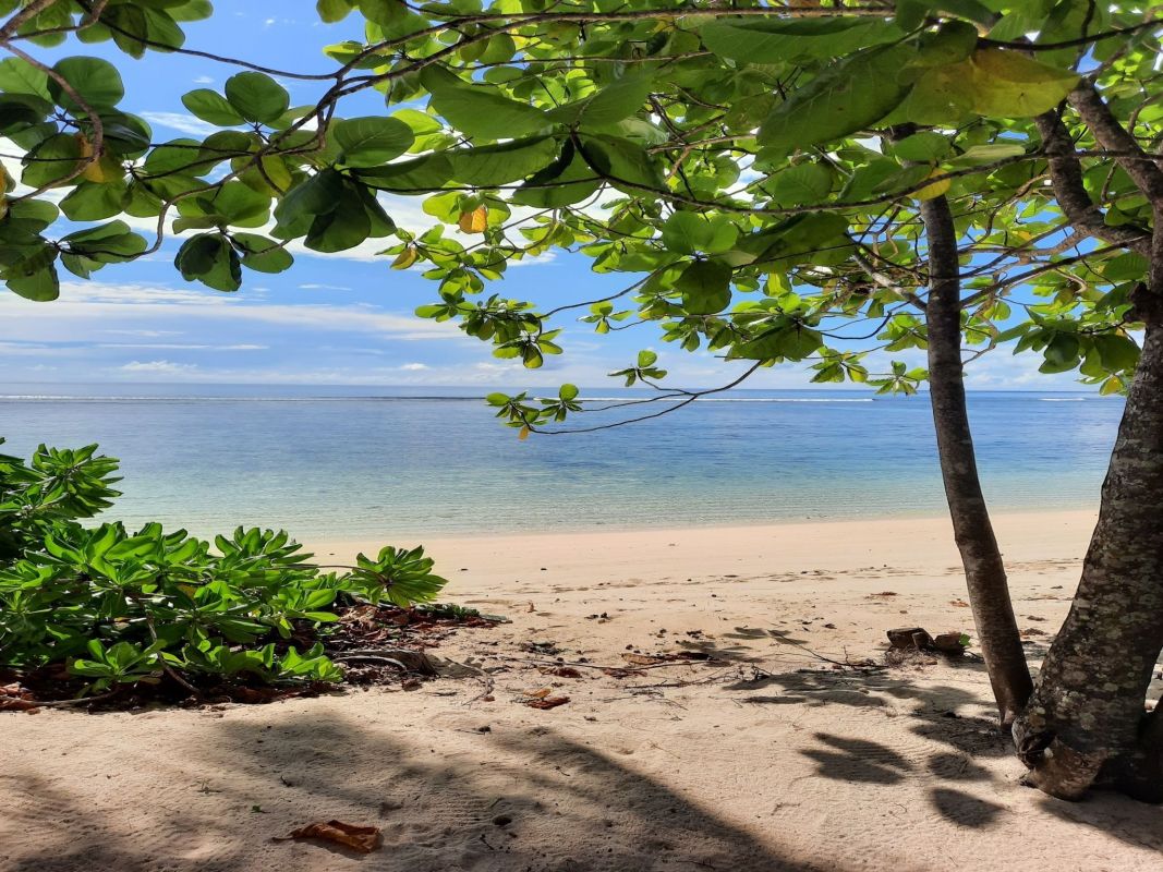 Chalets d'Anse Forbans