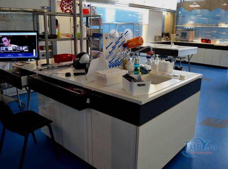 Центр Науки Коперник