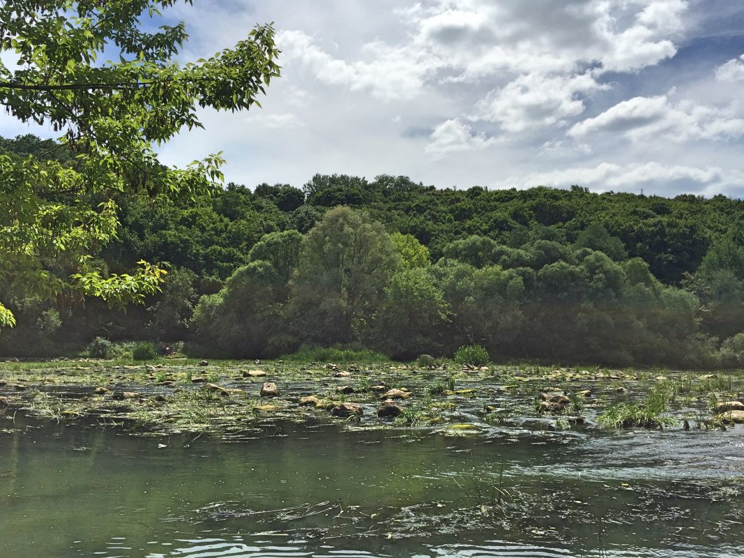 Река Тетерев