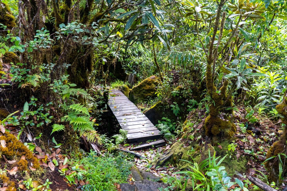 Национальный парк Морн Сейшелуа