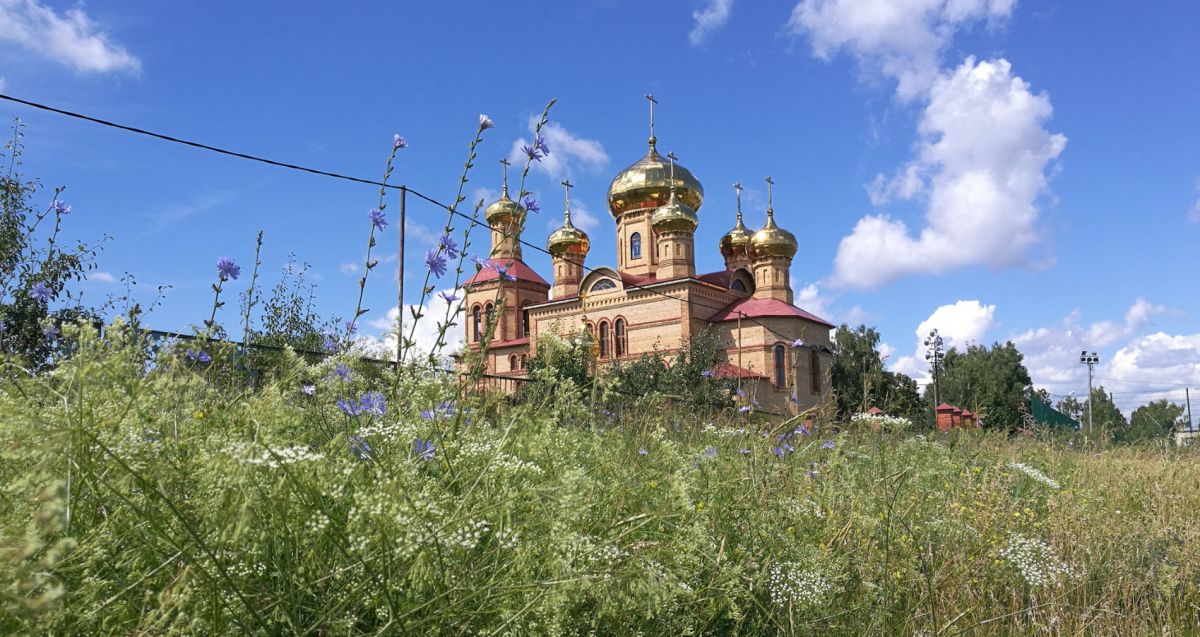 Храм Воскресения Христова (Храм святителя Алексия, митрополита Московского)