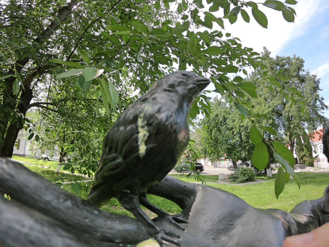 Памятник Украинке Лесе на территории Межрегиональной академии управления персоналом
