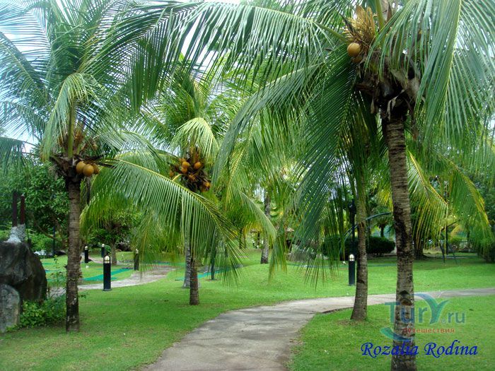 Ферма Kikis Animal Farm при отеле Pelangi Beach Resort