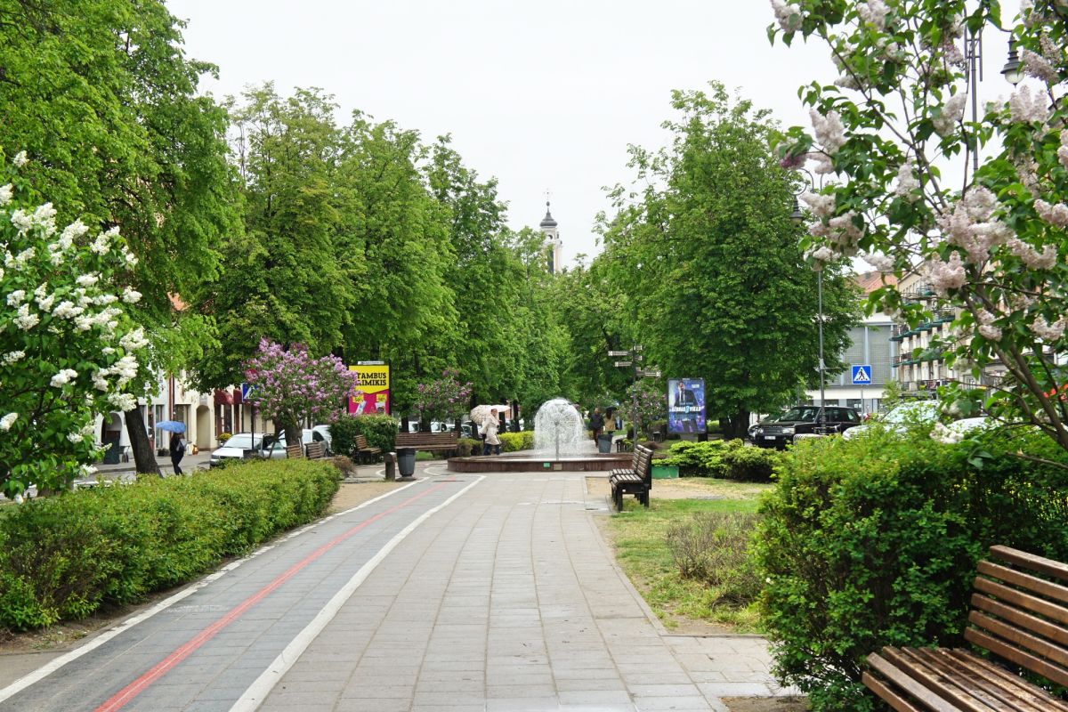 Улица Вокечю (Vokiečių gatvė / German Street)