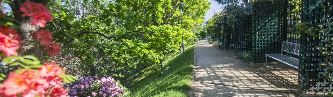 Райский сад