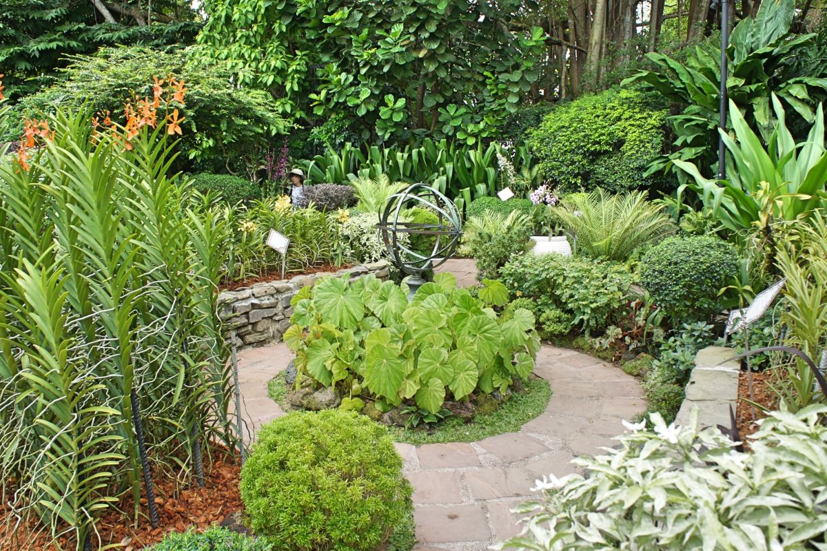 Сингапурский ботанический сад