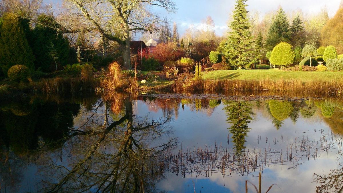 Дендропарк Смарагд