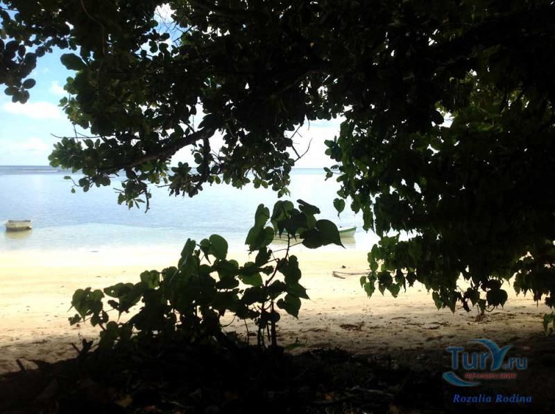 Пляж Анс-О-Пен и залив Тартл-Бей