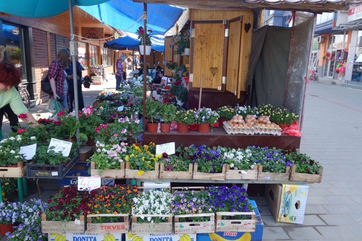 Riblja Pijaca (Рыбный рынок)