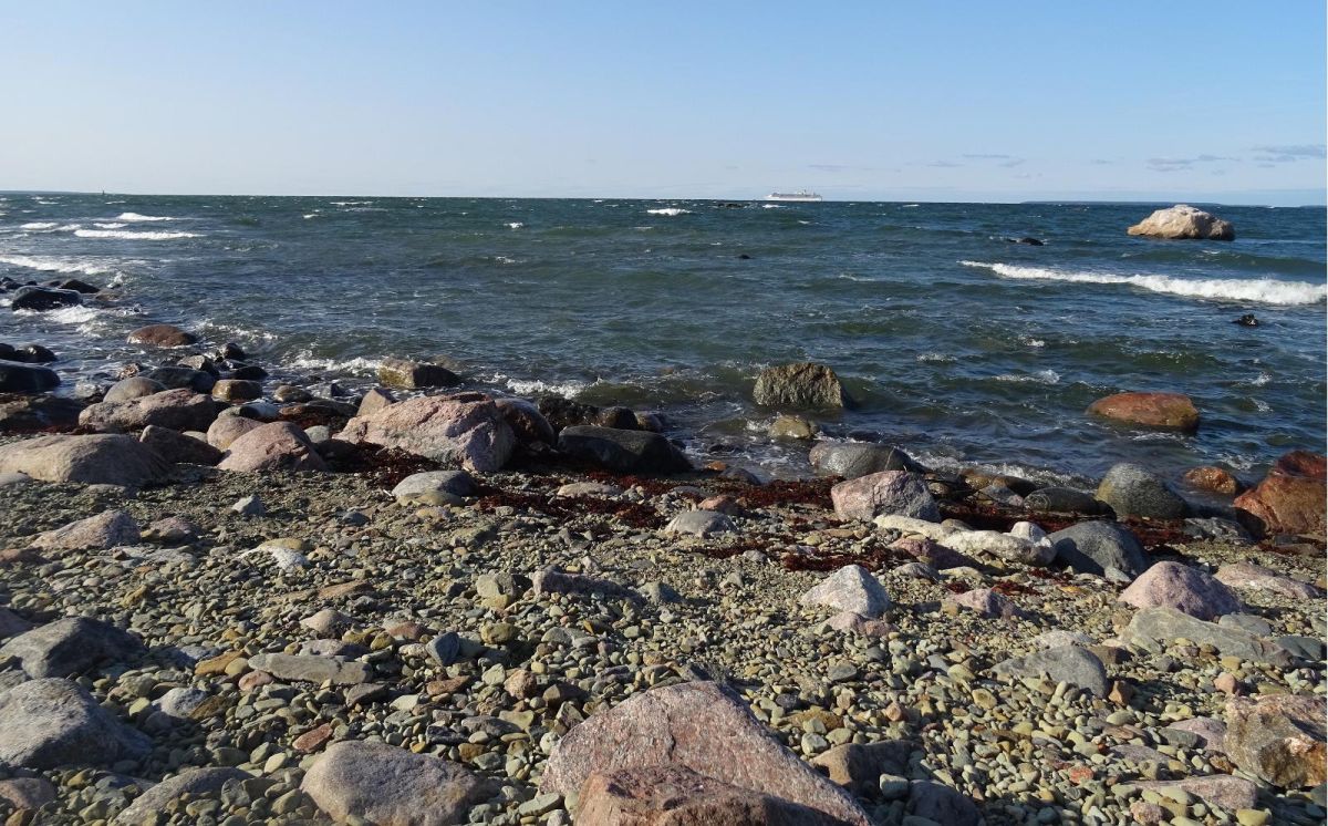 Смотровые вышки для наблюдения за птицами в Пальяссаареской заповедной зоне