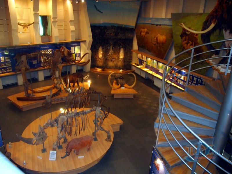 Музей мамонта Академии наук Республики Саха